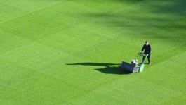 Vollzeit Job Mitarbeitende für die Instandhaltung von Sportanlagen, Rasen- und Gartenpflege bei der PSV Sportverein Braunschweig