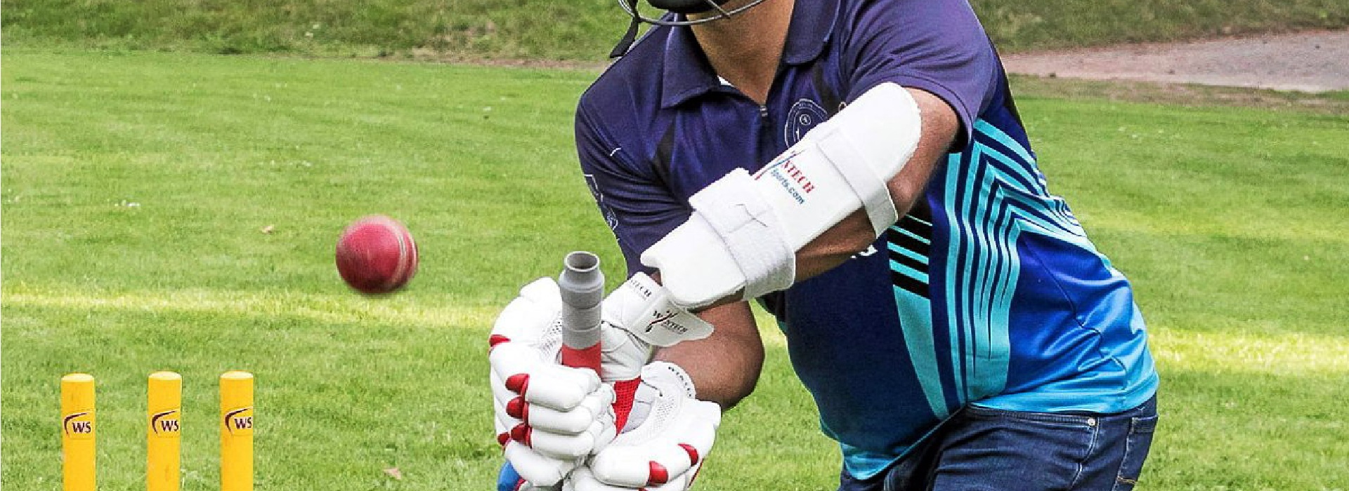 Header Cricket